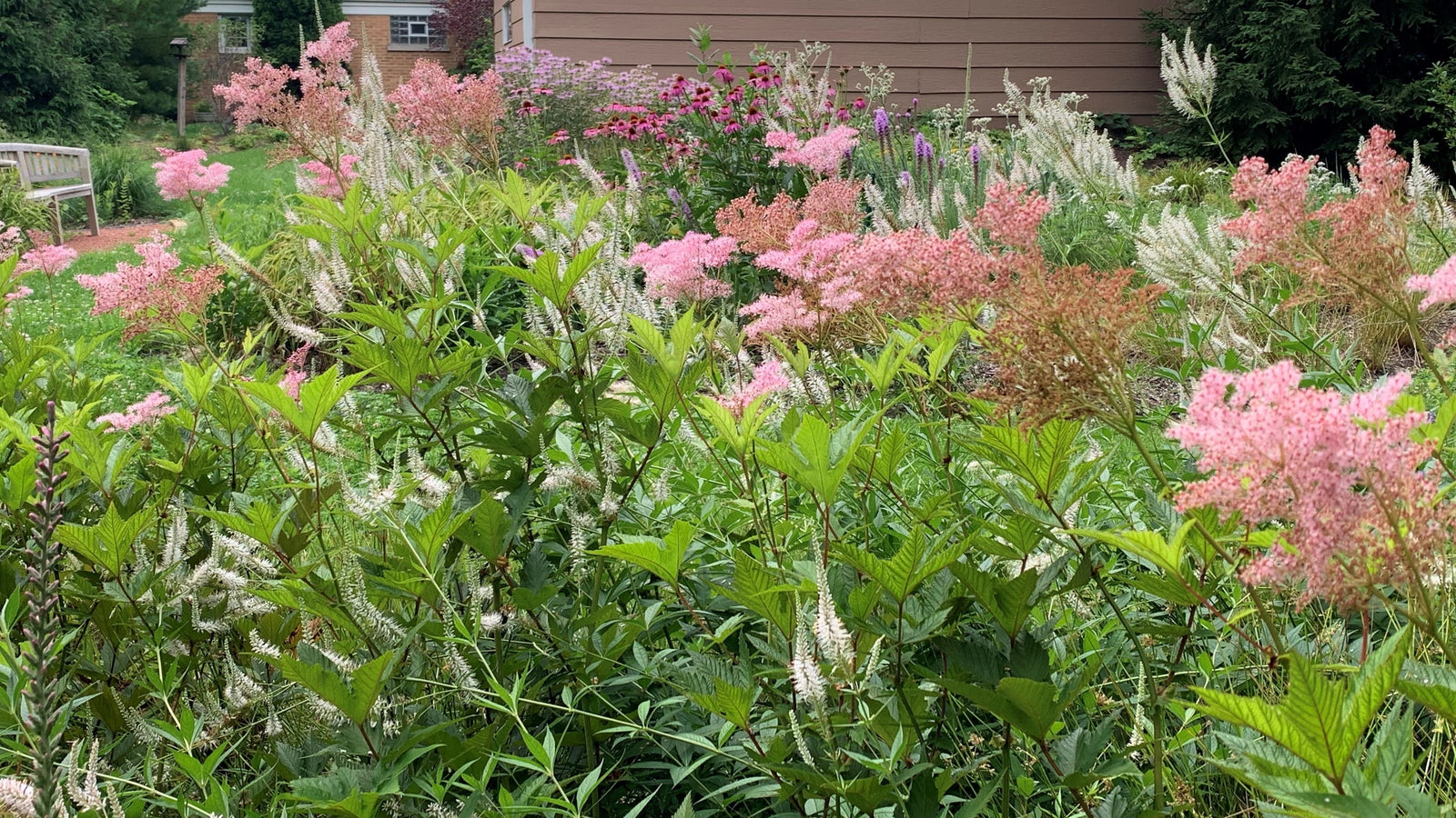 Red Stem Native Landscapes