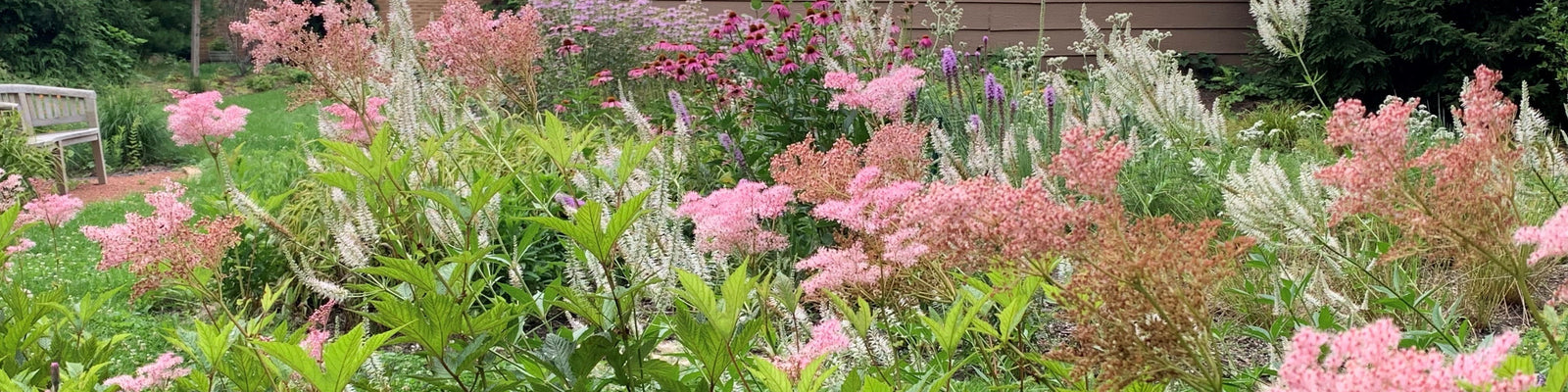 Red Stem Native Landscapes